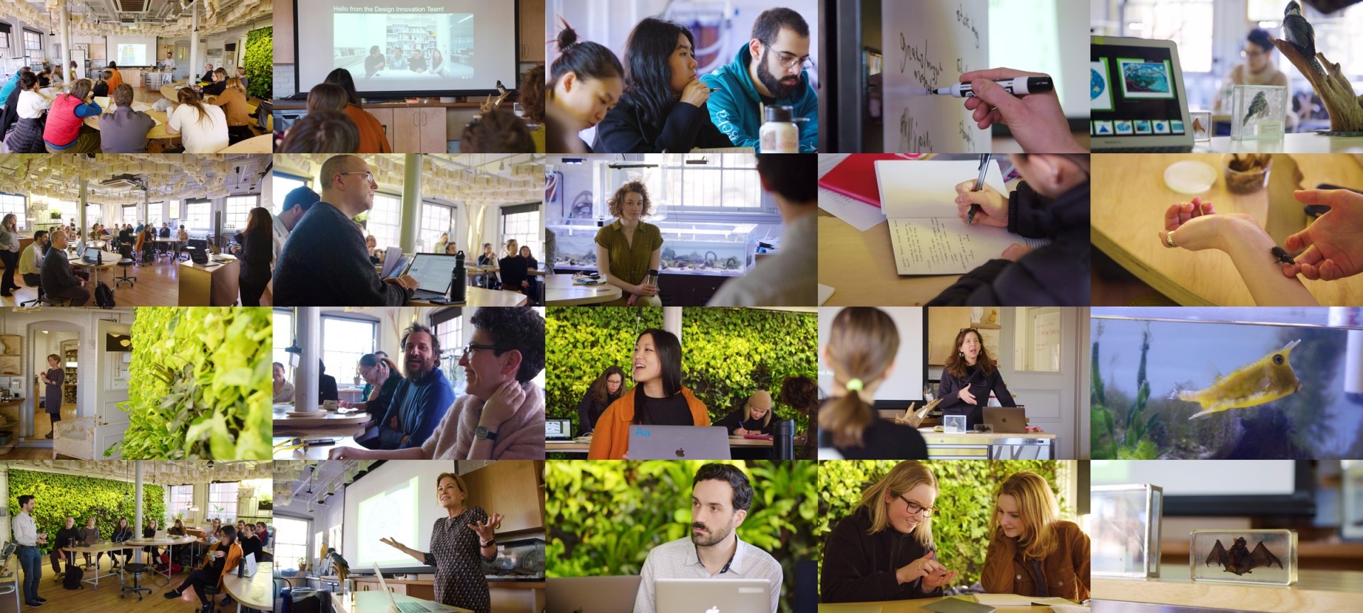 Hyundai Motor Group и Школа дизайна Род-Айленда объявляют о сотрудничестве по изучению будущего городов 